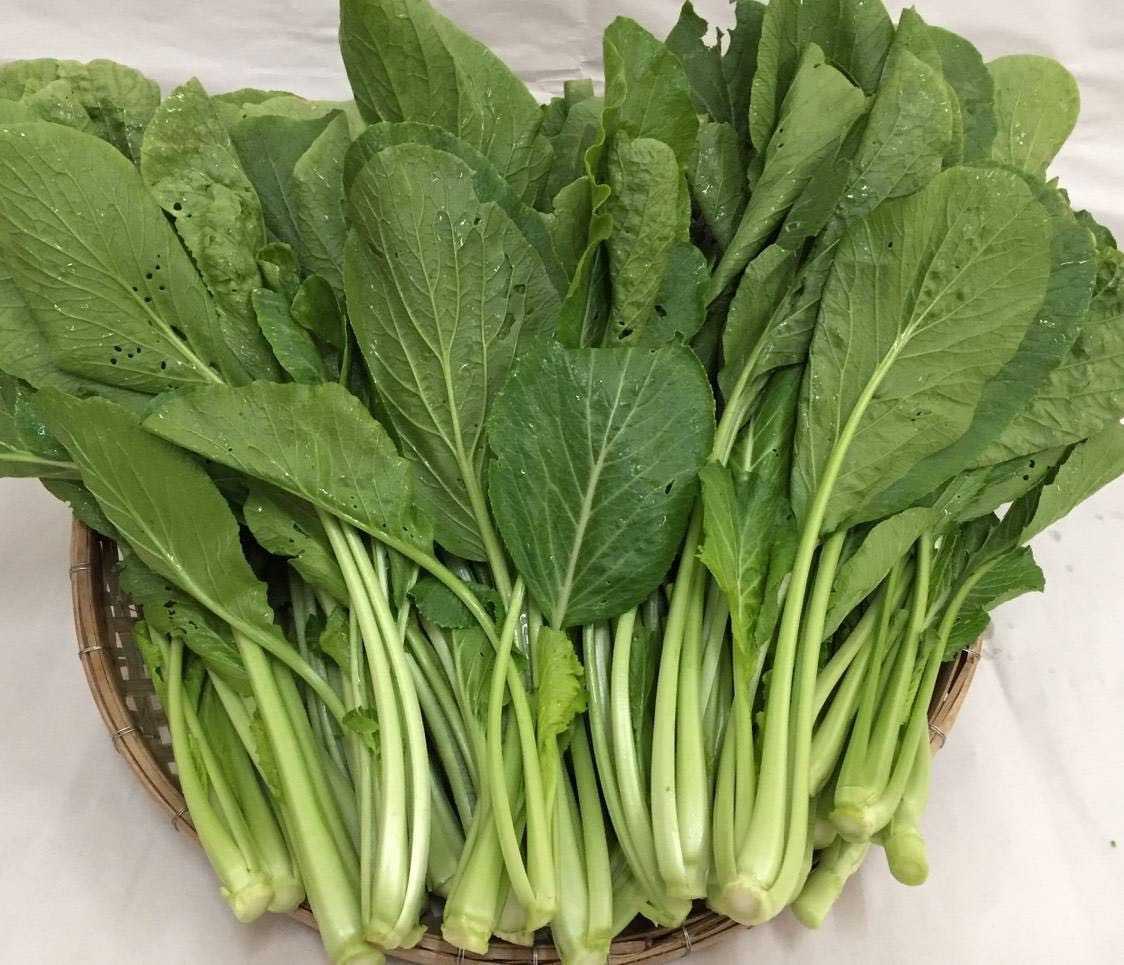 กวางตุ้งอินทรีย์ แพค 300 กรัม