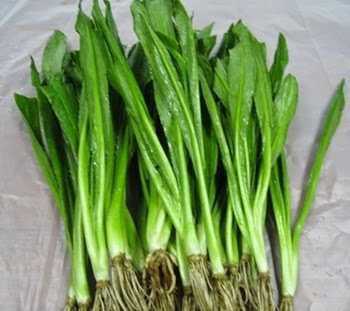 ผักชีฝรั่งอินทรีย์ แพค 100 กรัม