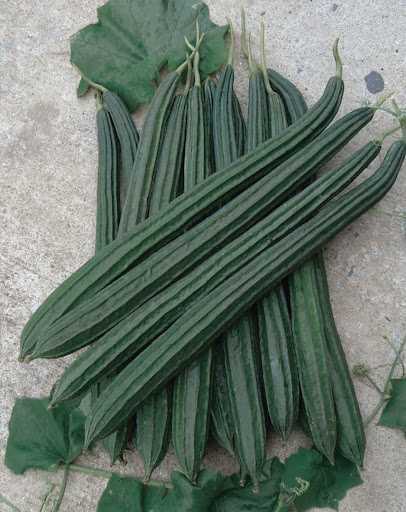 บวบเหลี่ยมอินทรีย์ แพค 500 กรัม