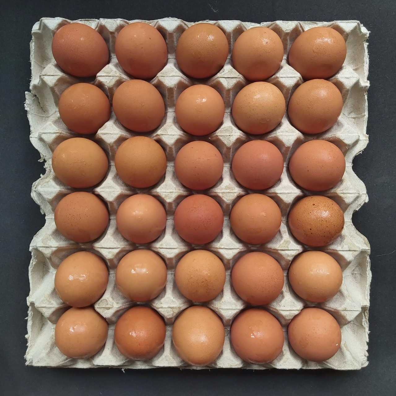 ไข่ไก่อารมณ์ดี แพค 30 ฟอง