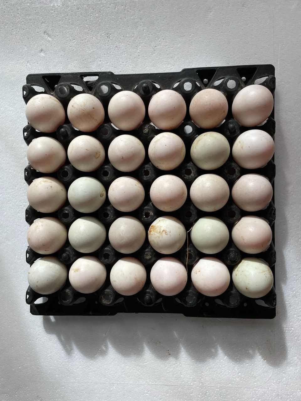 ไข่เป็ดอารมณ์ดี แพค 30 ฟอง