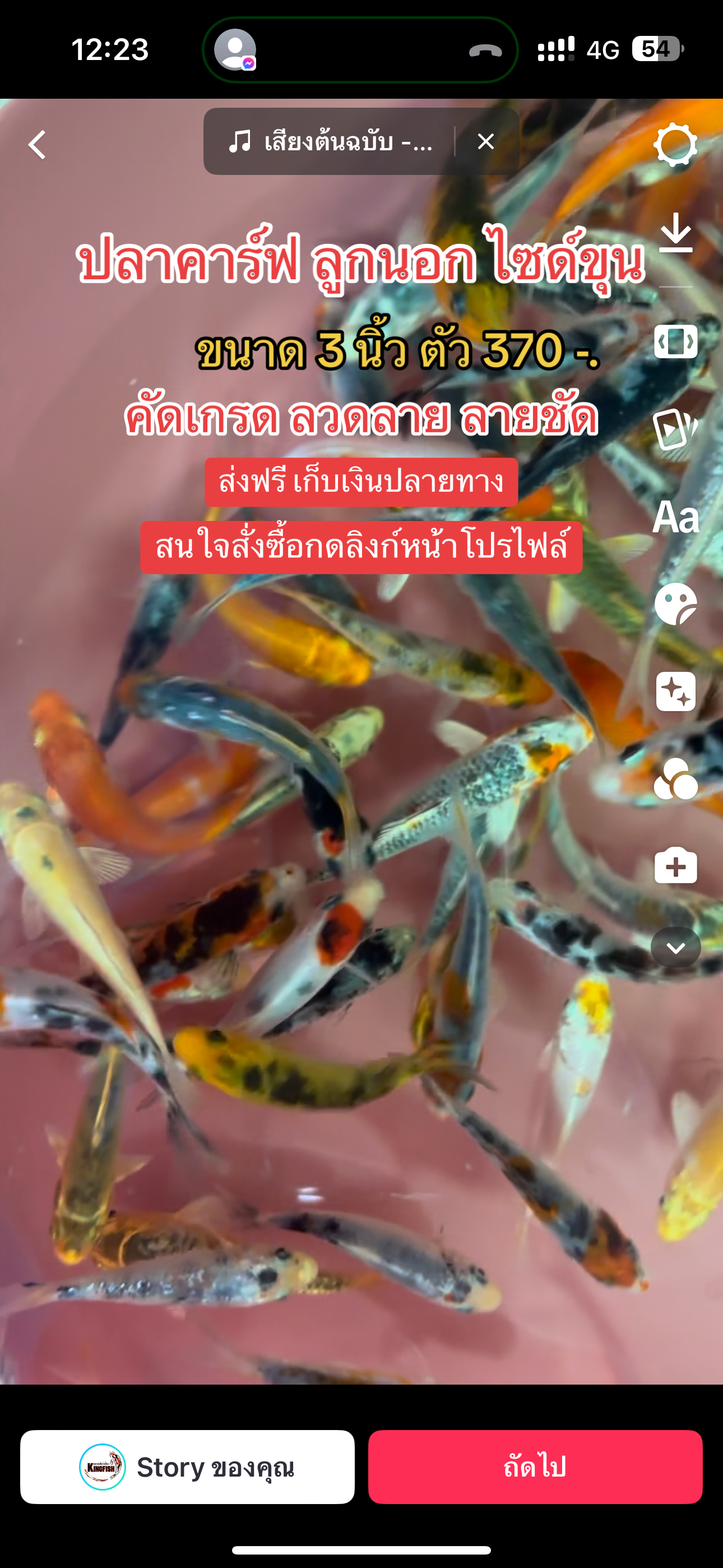 คาร์ฟลูกนอก คัดเกรดพิเศษ 3 นิ้ว 12 ตัว ส่งฟรี