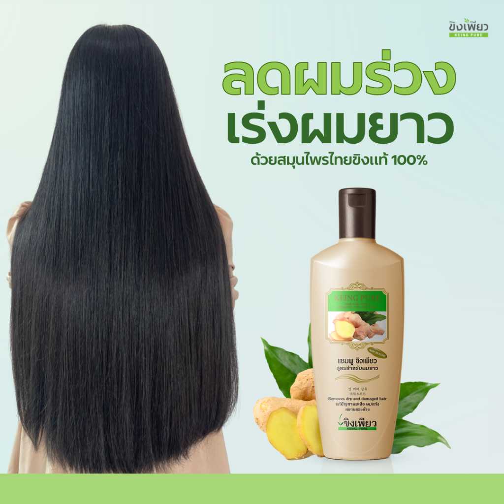 ขิงเพียวแชมพูสมุนไพร สูตรสำหรับผมยาว(เร่งผมยาว) ซื้อ 1 ฟรี 1