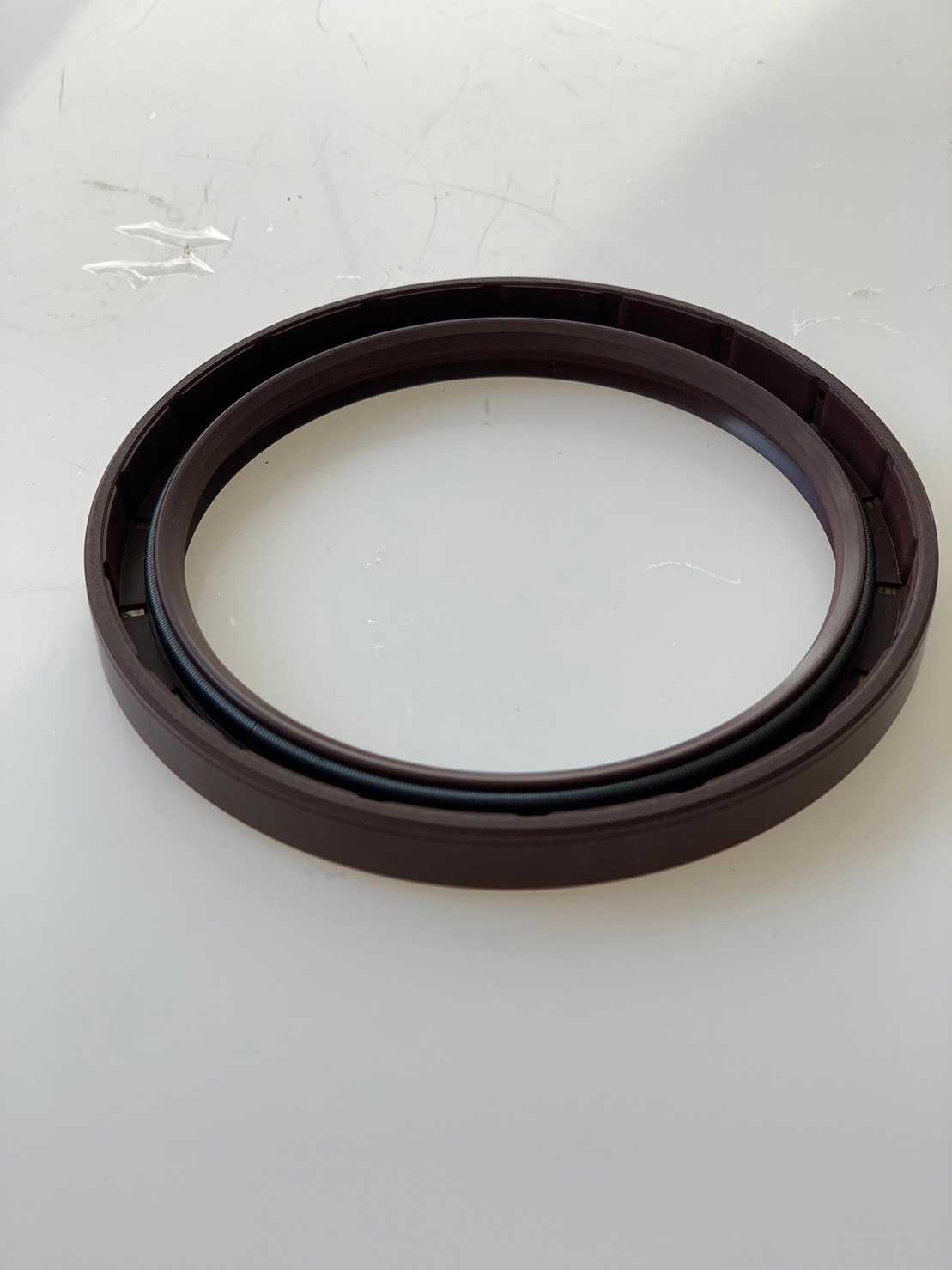 RX520 Seal 100x130x10mmFKM Primus Washer EXtractor(506475) -AA