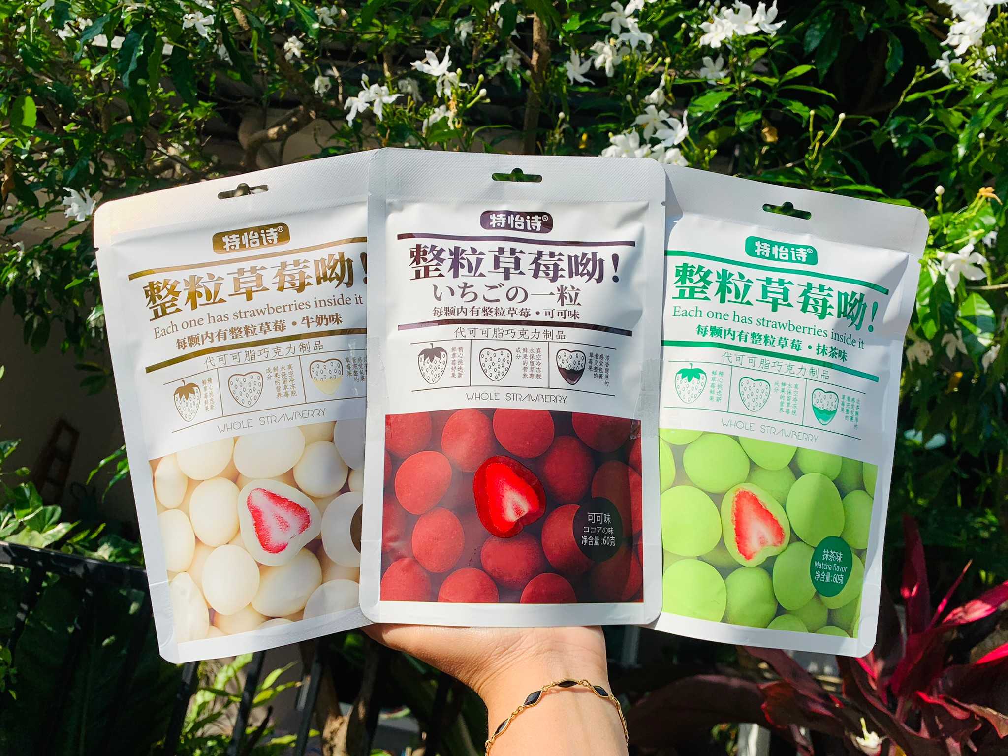 สตรอเบอรี่ ทรัฟเฟิล 3 รส ช็อกโกแลต นม ชาเขียว ขนม ผลไม้ สตรอเบอรี่ทรัฟเฟิล Strawberry Truffle