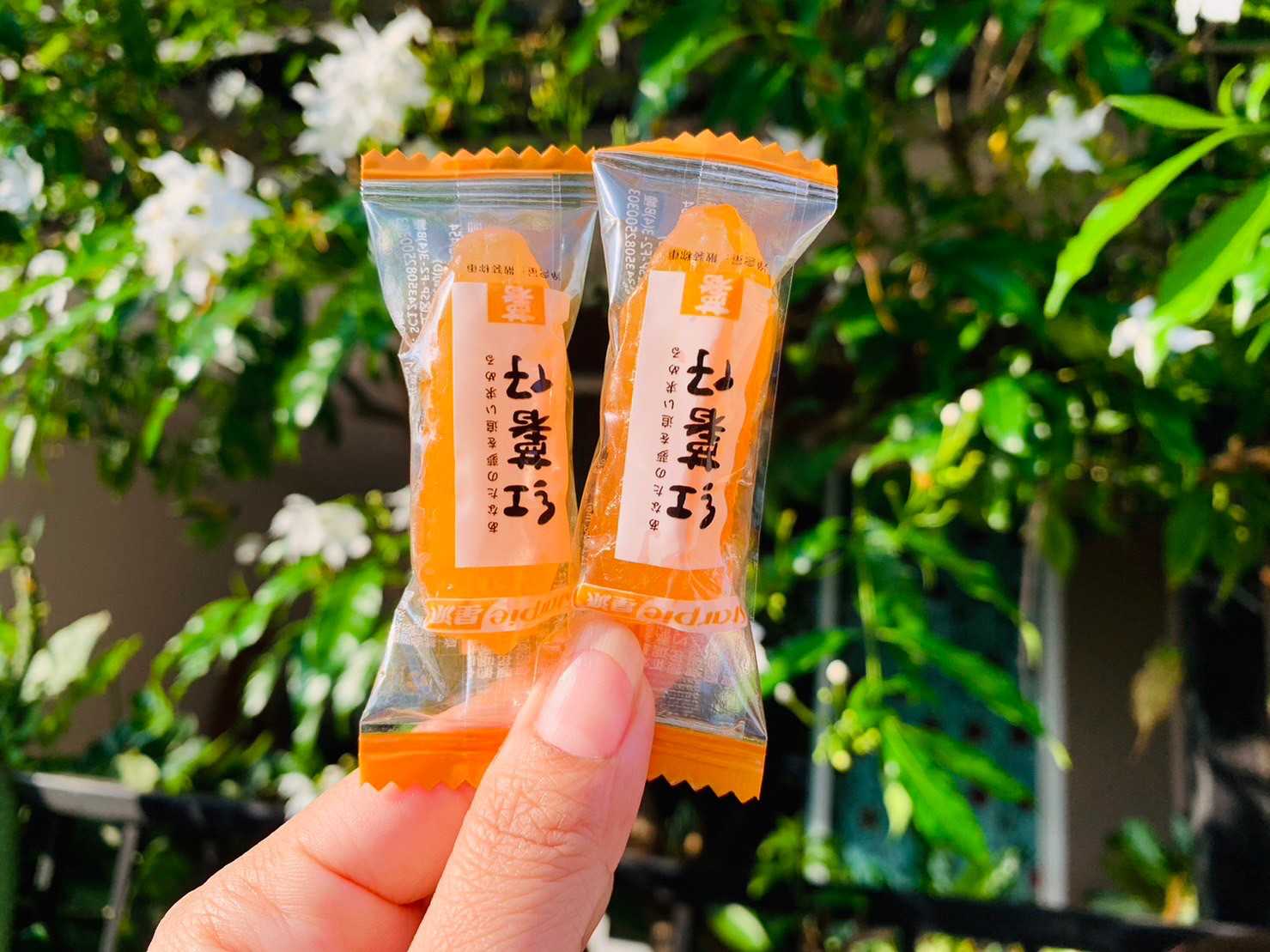 มันเหลือง เบนฮารุกะ หวาน นุ่ม มันหนึบ 500 กรัม 1 ห่อใหญ่ ราคาห่อ 99 บาท  #มันหนึบ