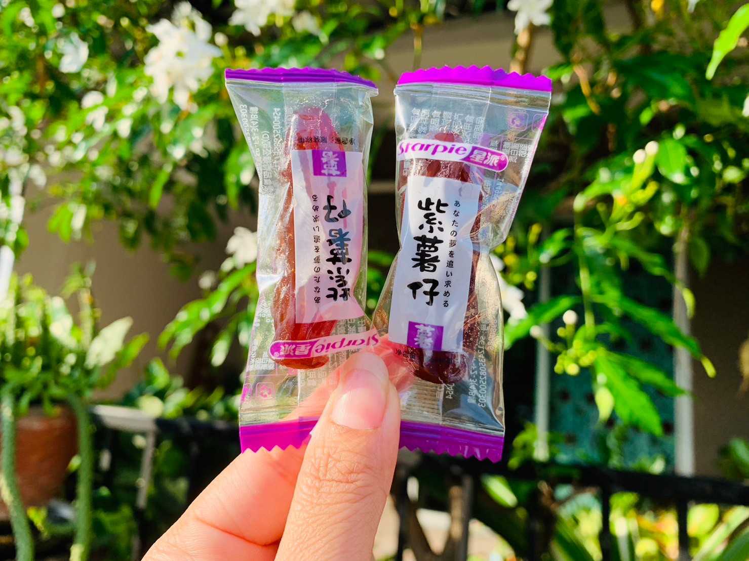 มันม่วงญี่ปุ่น มันม่วงโอกินาวา มันม่วง โอกินาวา หอม หวาน มันหนึบ 500 กรัม 1 ห่อใหญ่ ราคาห่อ 99 บาท