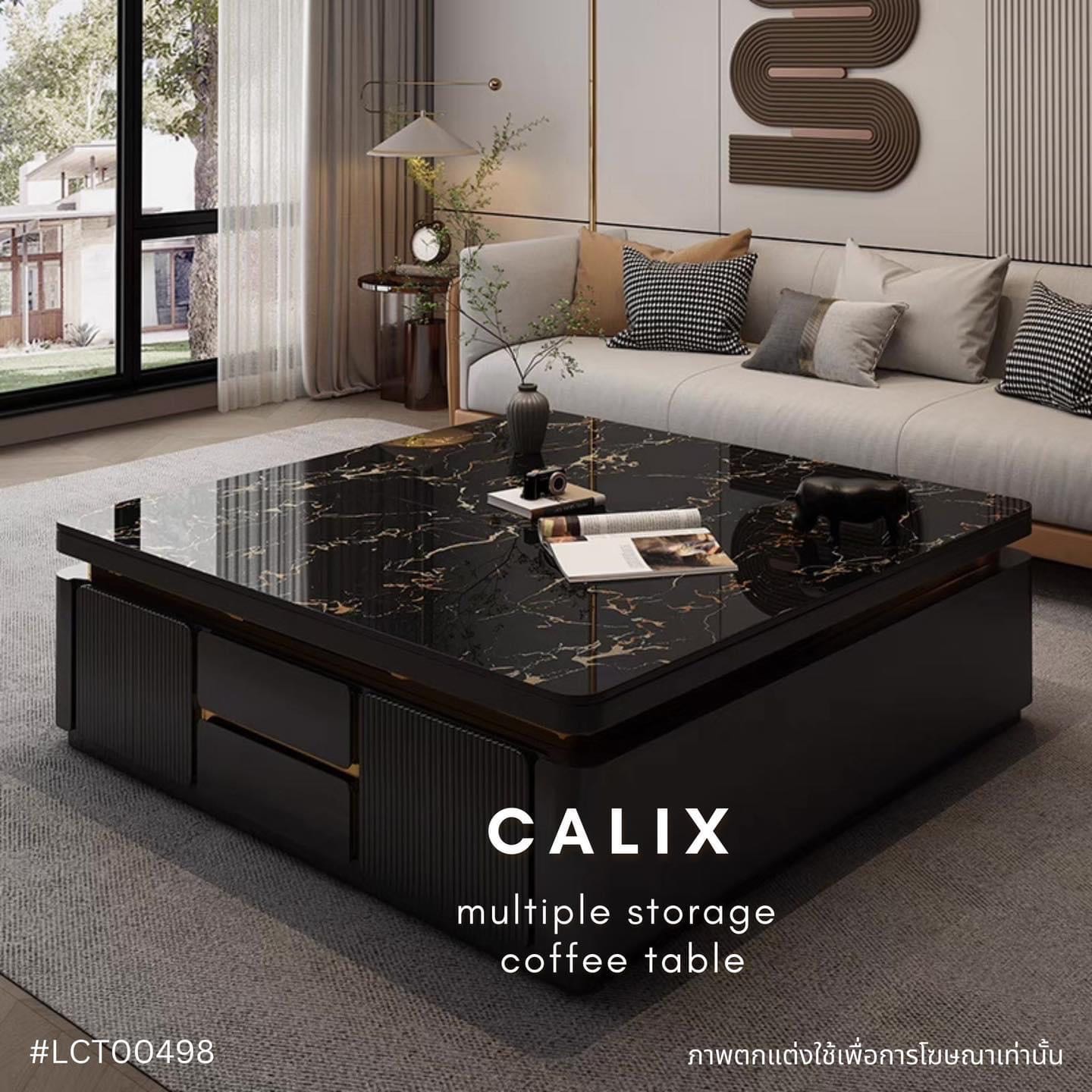 CALIX multiple storage coffee table 
