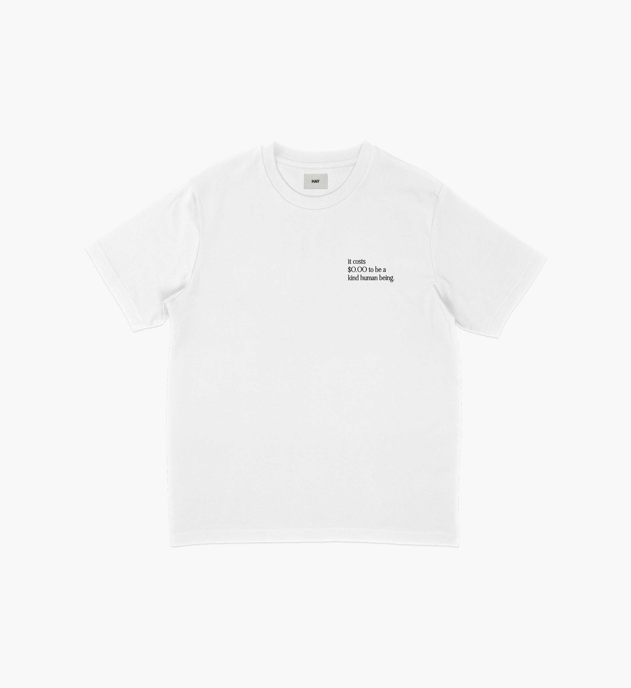it costs $O.OO to be  a kind human being T-Shirt
