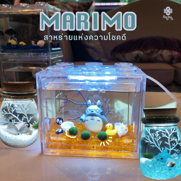 สาหร่ายมาริโมะ สไตล์มินิมอล มีทั้ง แบบกล่องตู้ปลา ขวด แบบพกพา พร้อมอุปกรณ์