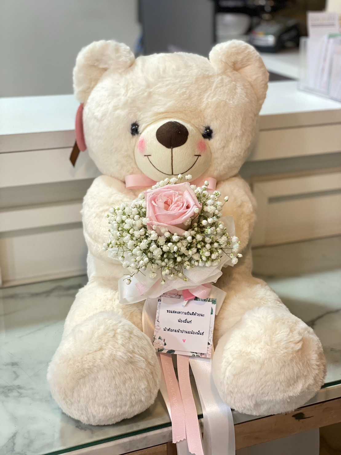 teddy 50 cm