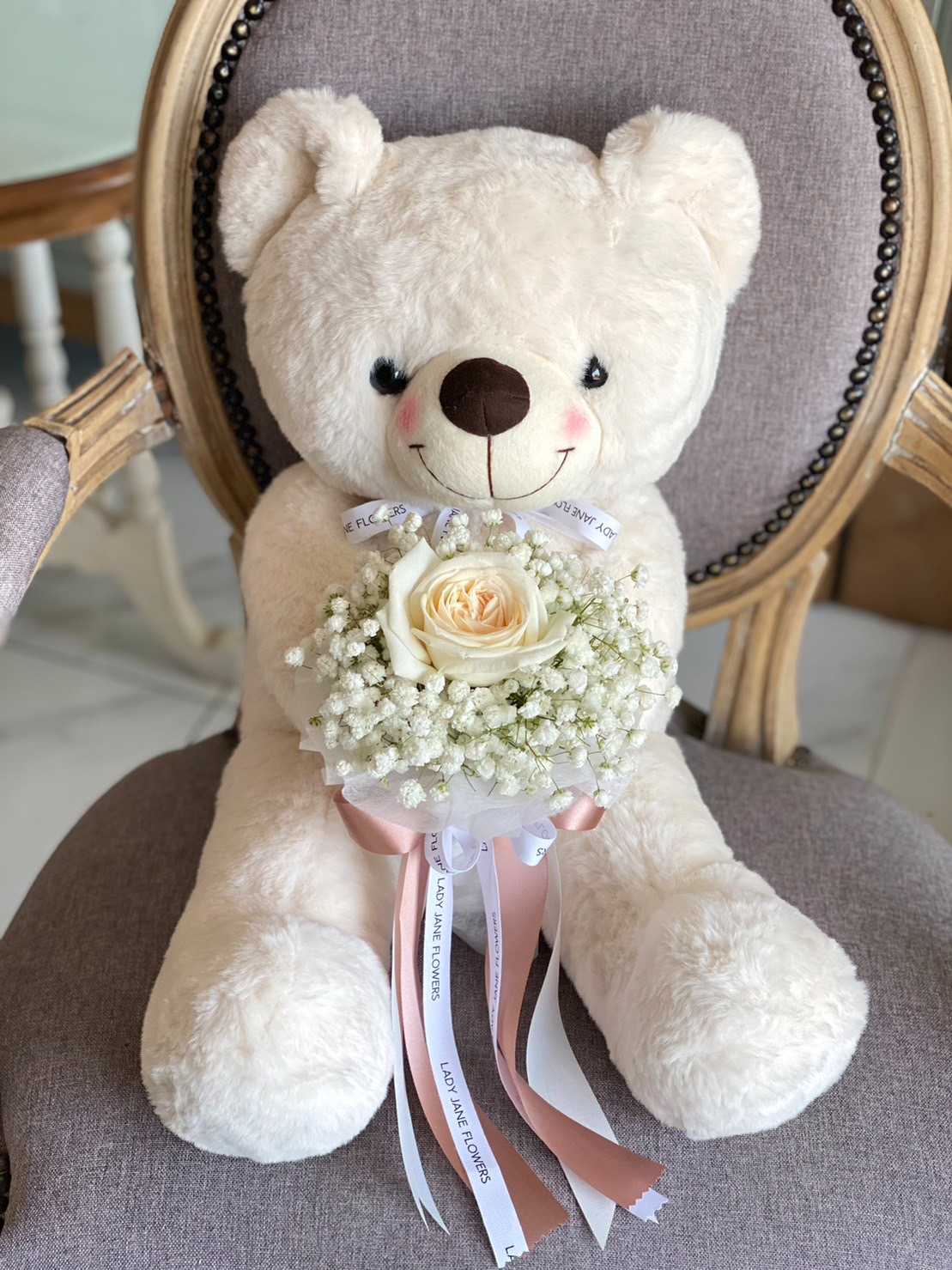 teddy 50 cm