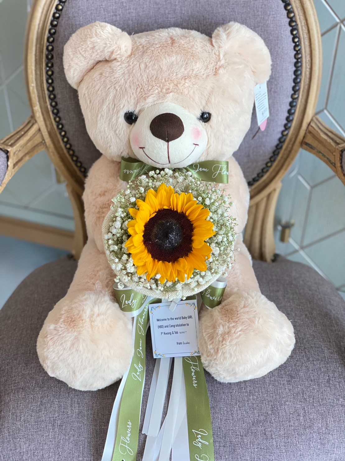 teddy50cm
