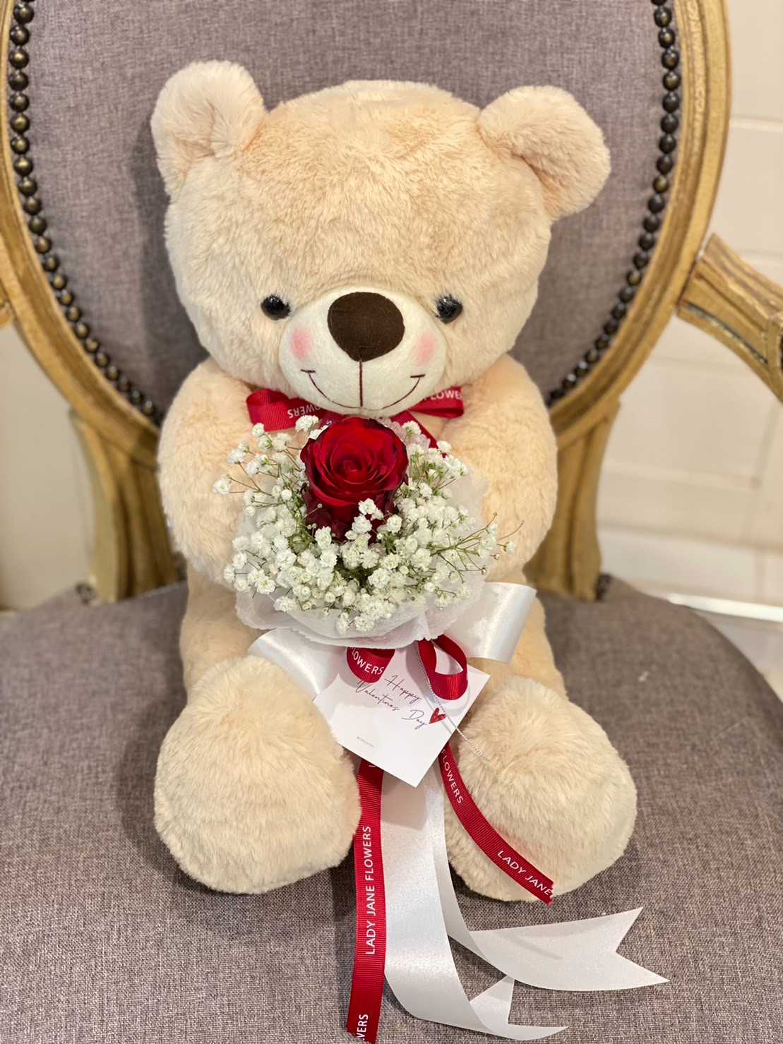teddy 50 cm