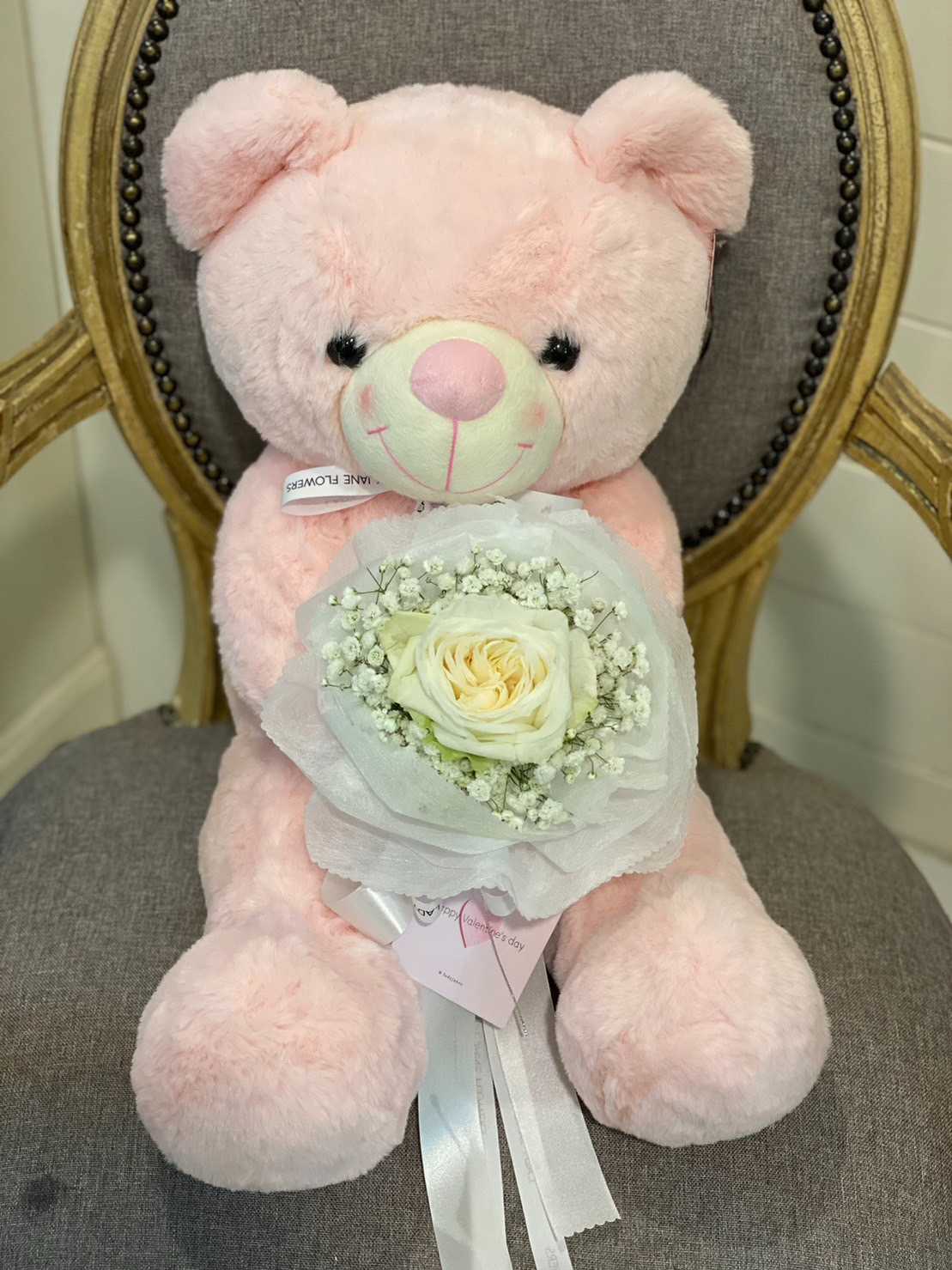 teddy 50 cm