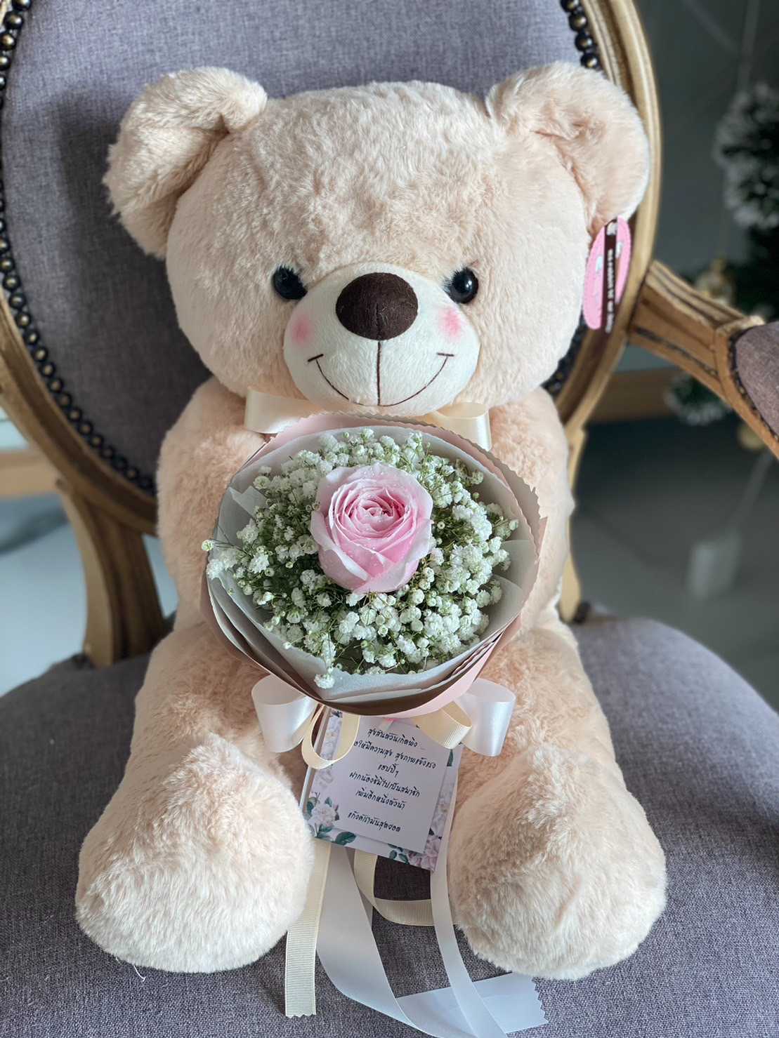 teddy 50 cm