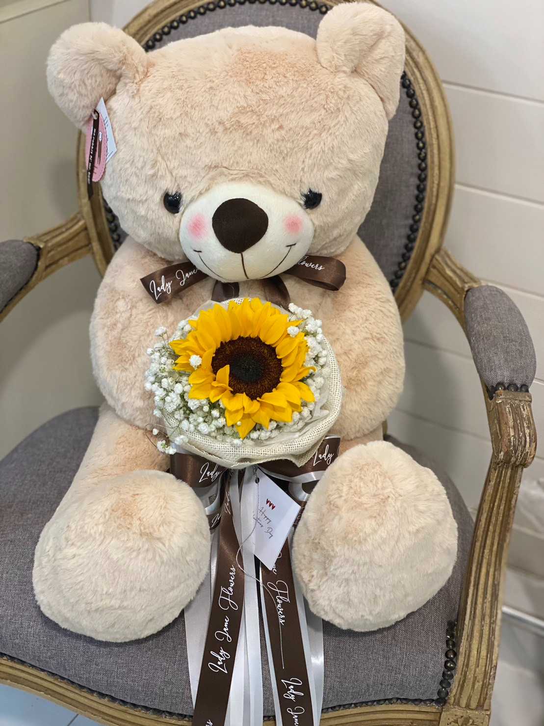 teddy 70 cm