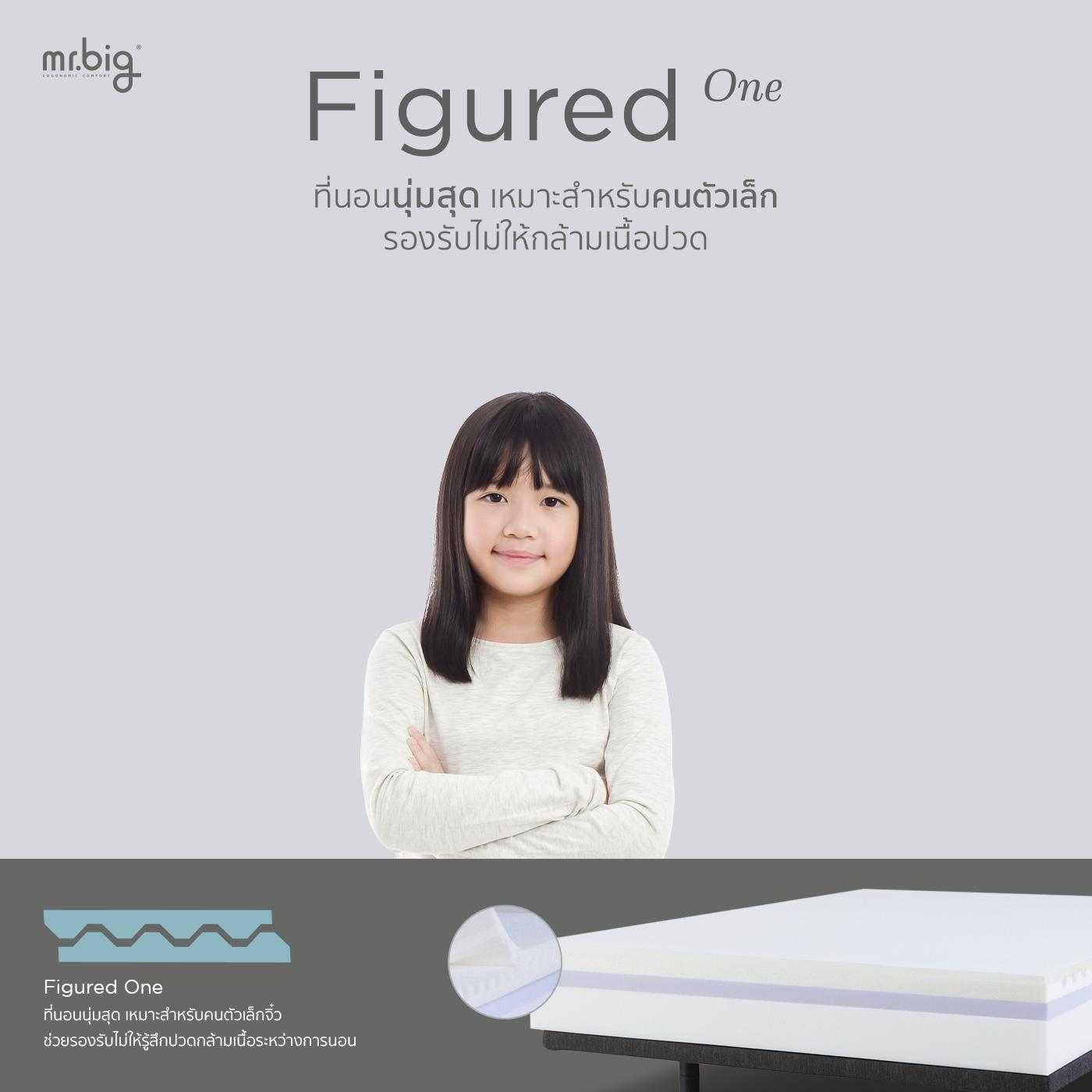 mr.big  Figured One Mattress Size 6 F