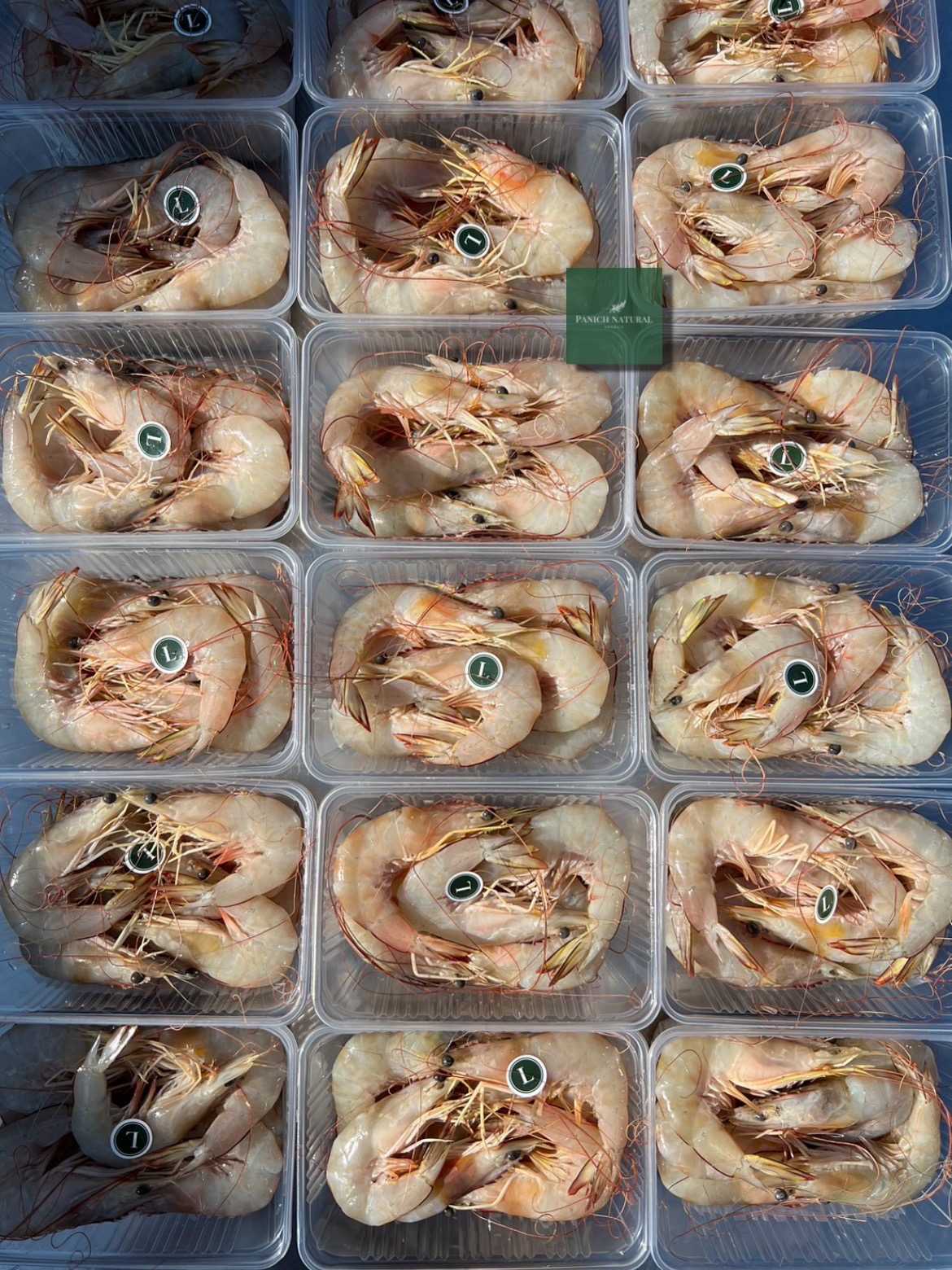 กุ้งแชบ๊วยทะเล ไม่แกะ  L  500g. ครึ่งโล