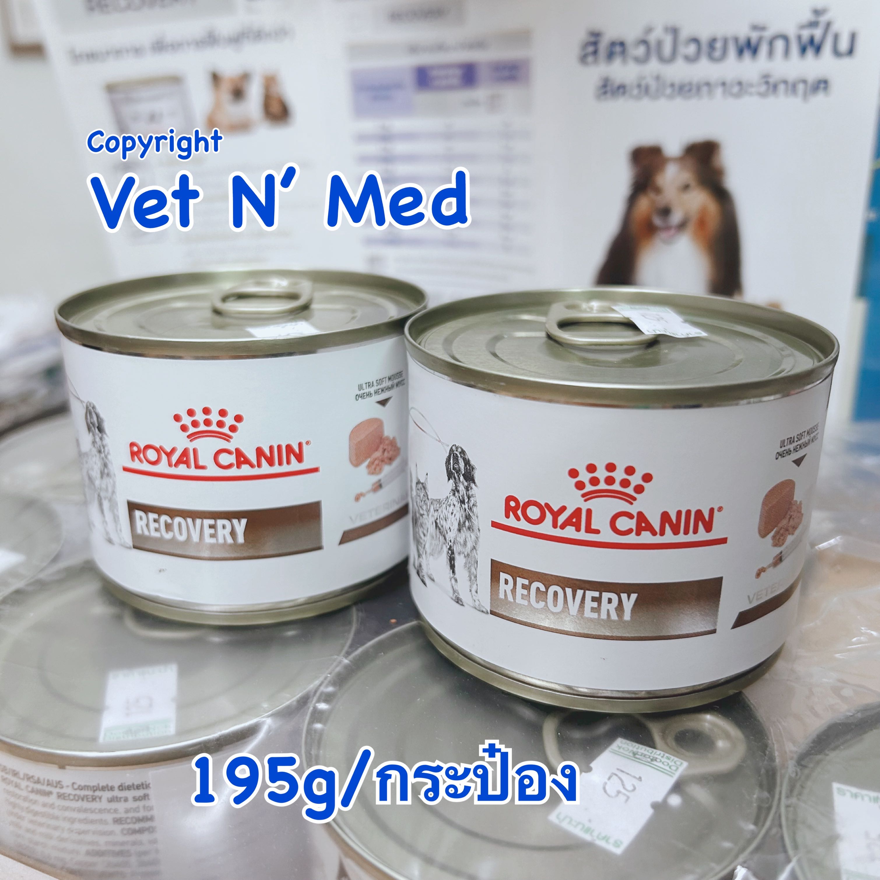 Royal Canin Recovery 195g/can อาหารเปียกสำหรับสัตว์ป่วยพักฟื้น สุนัข/แมว
