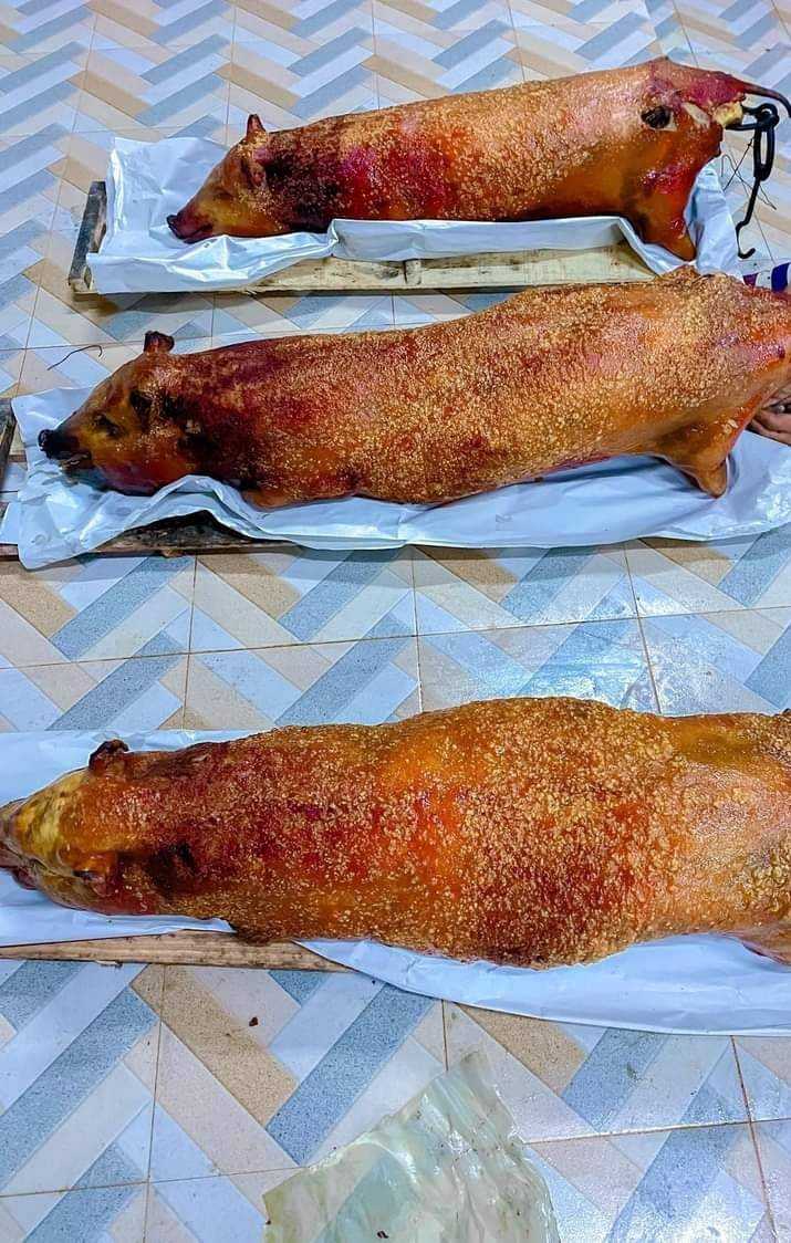 หมูย่างตรังเป็นตัว 1 ตัว นน. 15 กก. หมูย่างตรัง ตรังหมูย่าง เนื้อนุ่ม หนังกรอบ #หมูย่างเมืองตรัง