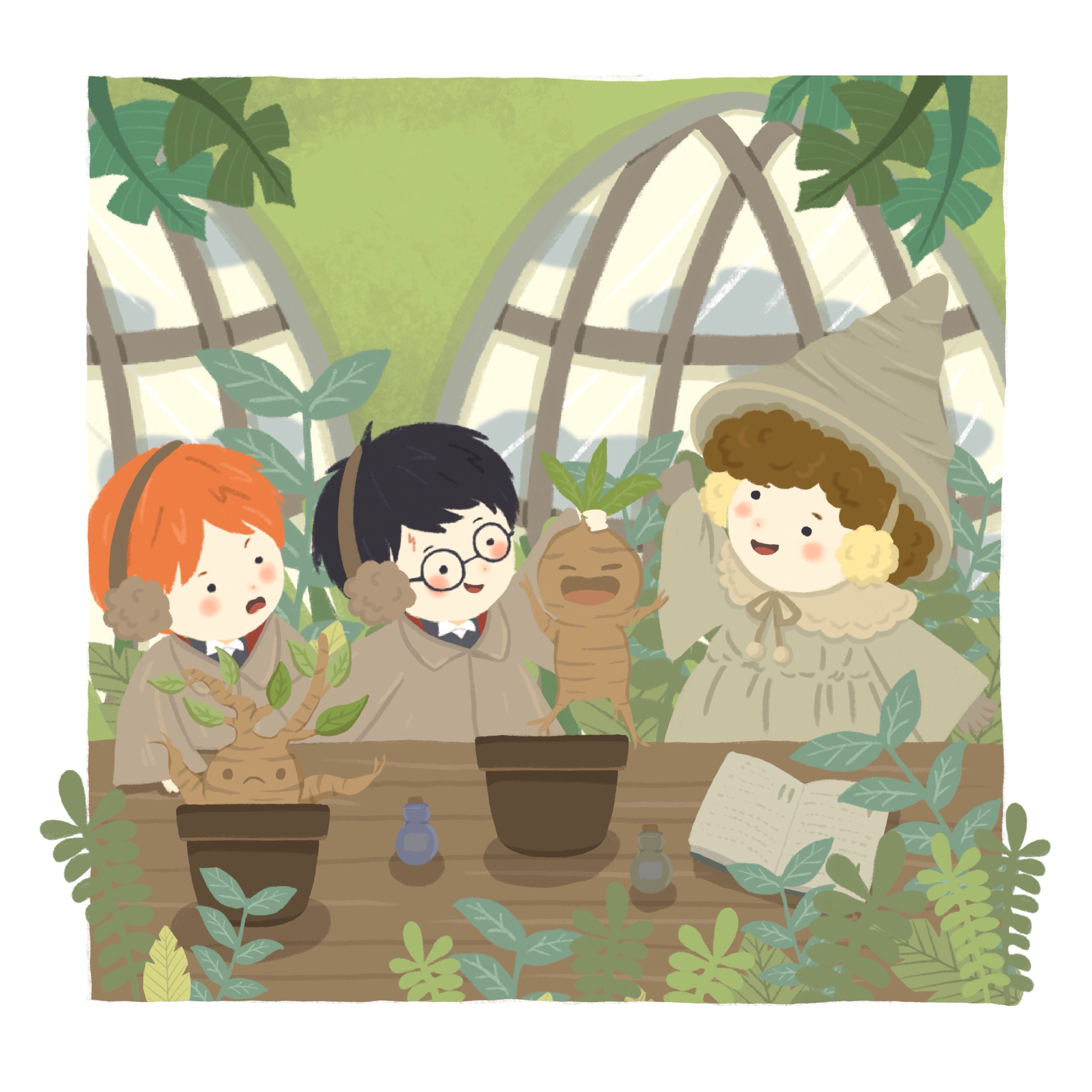 Mandrake Postcard 5x5”
