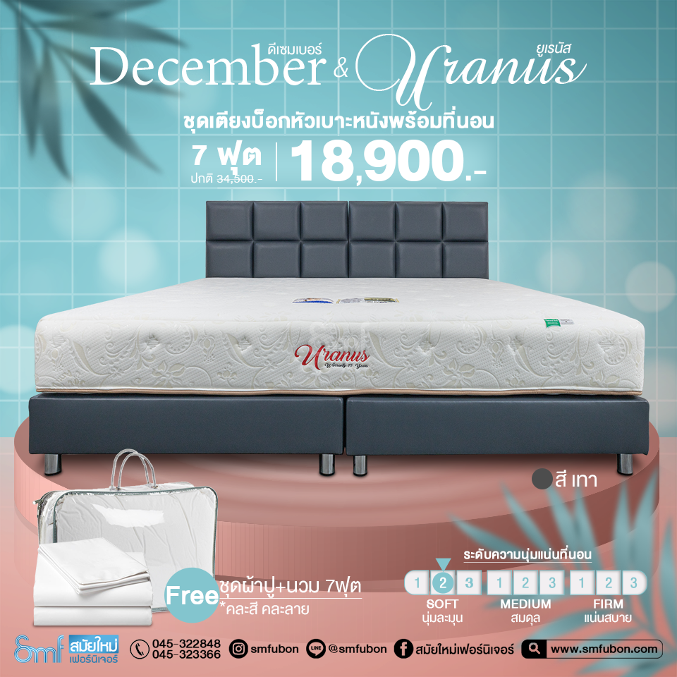 ชุดเตียงพร้อมที่นอน รุ่น December&Uranus ขนาด 7 ฟุต