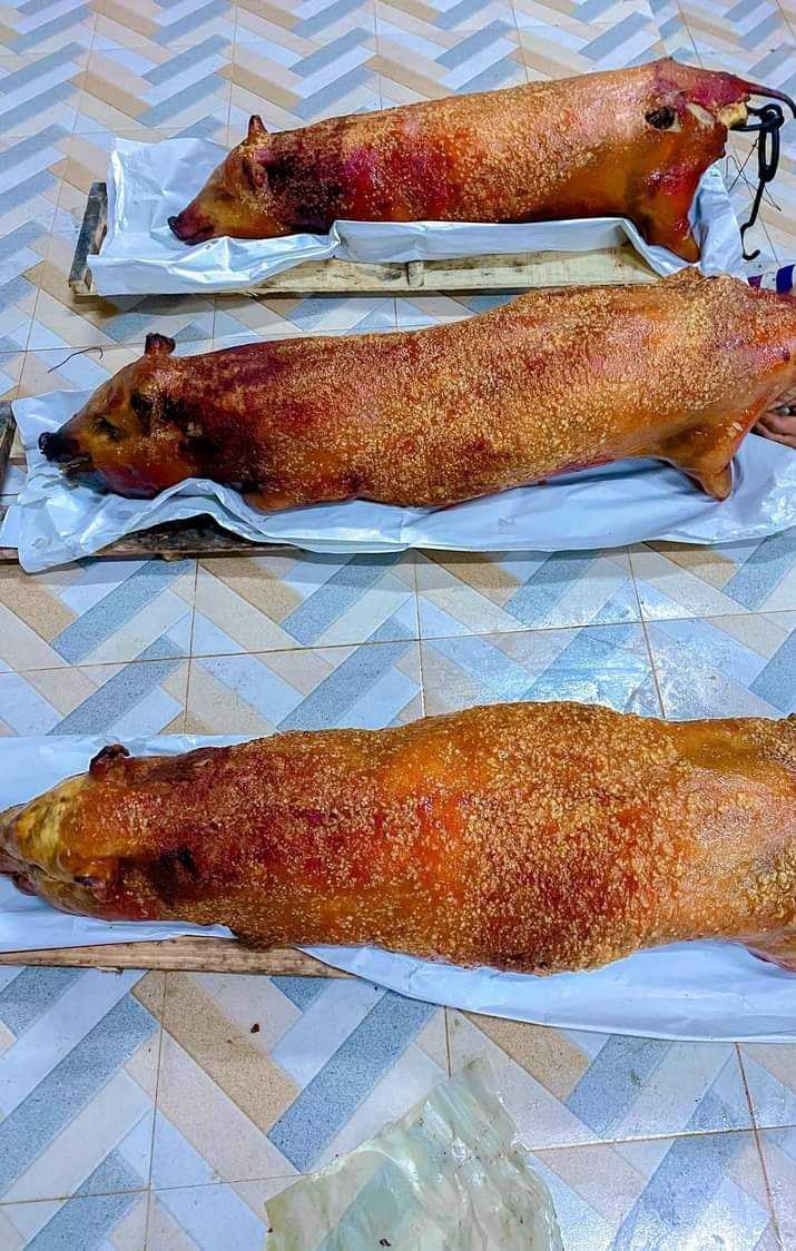 หมูย่างตรังเป็นตัว 1 ตัว นน. 15 กก. หมูย่างตรัง ตรังหมูย่าง เนื้อนุ่ม หนังกรอบ หมูย่างเมืองตรัง