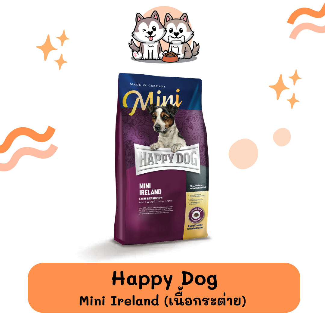 Happy Dog Mini Ireland (มินิ ไอร์แลนด์)