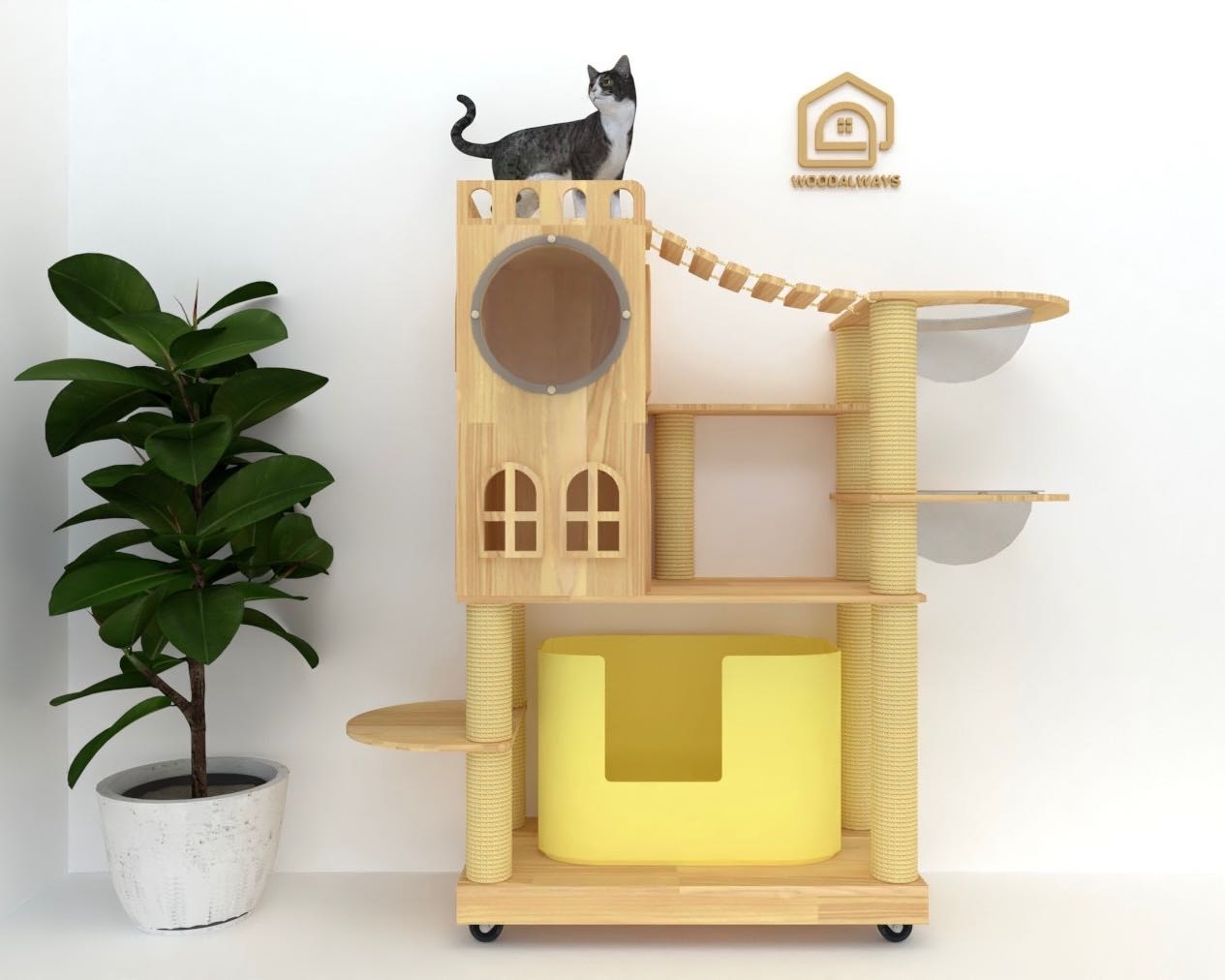 คอนโดแมว | Catcondo-17
