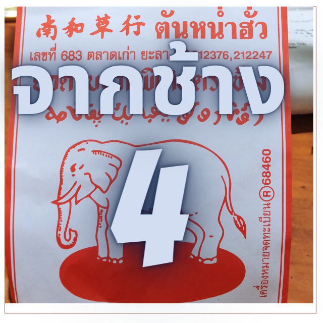 4 แพ็ค ใบจากกลม ตราช้าง ใบใหญ่ 4 แพ็ค 40 ซอง
