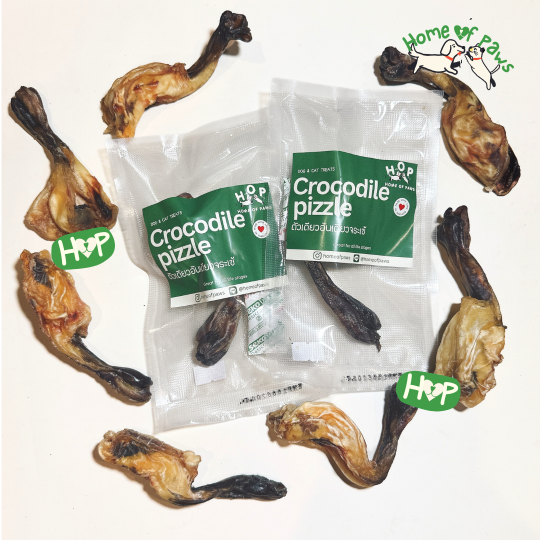 Crocodile pizzle-ตัวเดียวอันเดียวจระเข้