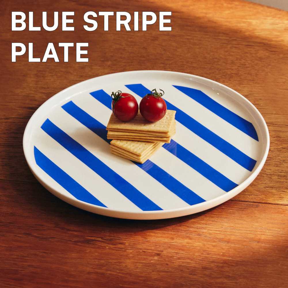 10inch plate with a rim จานเซรามิค 10 นิ้ว Stripe Blue