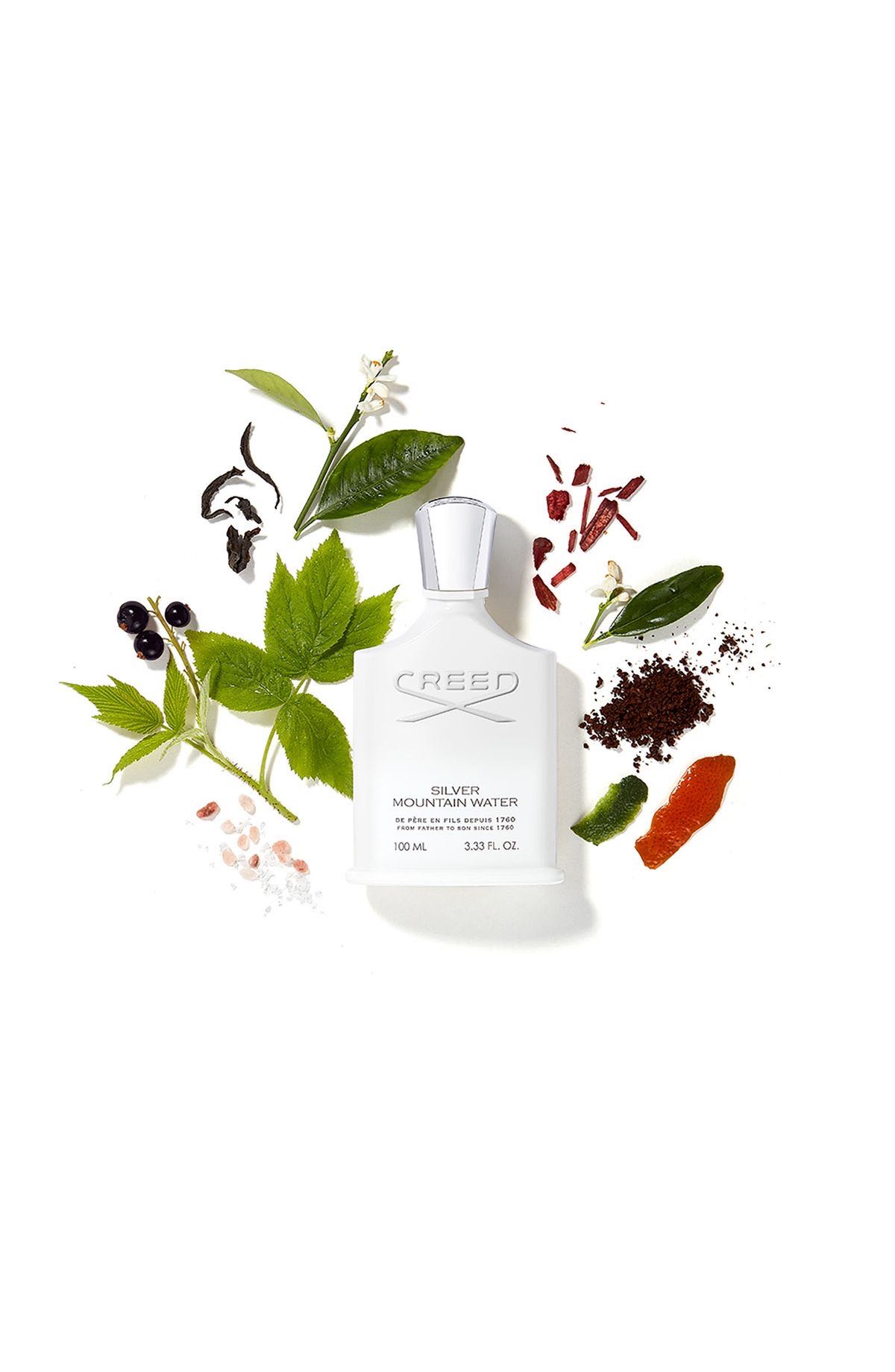 Creed Silver Mountain Water (1995)