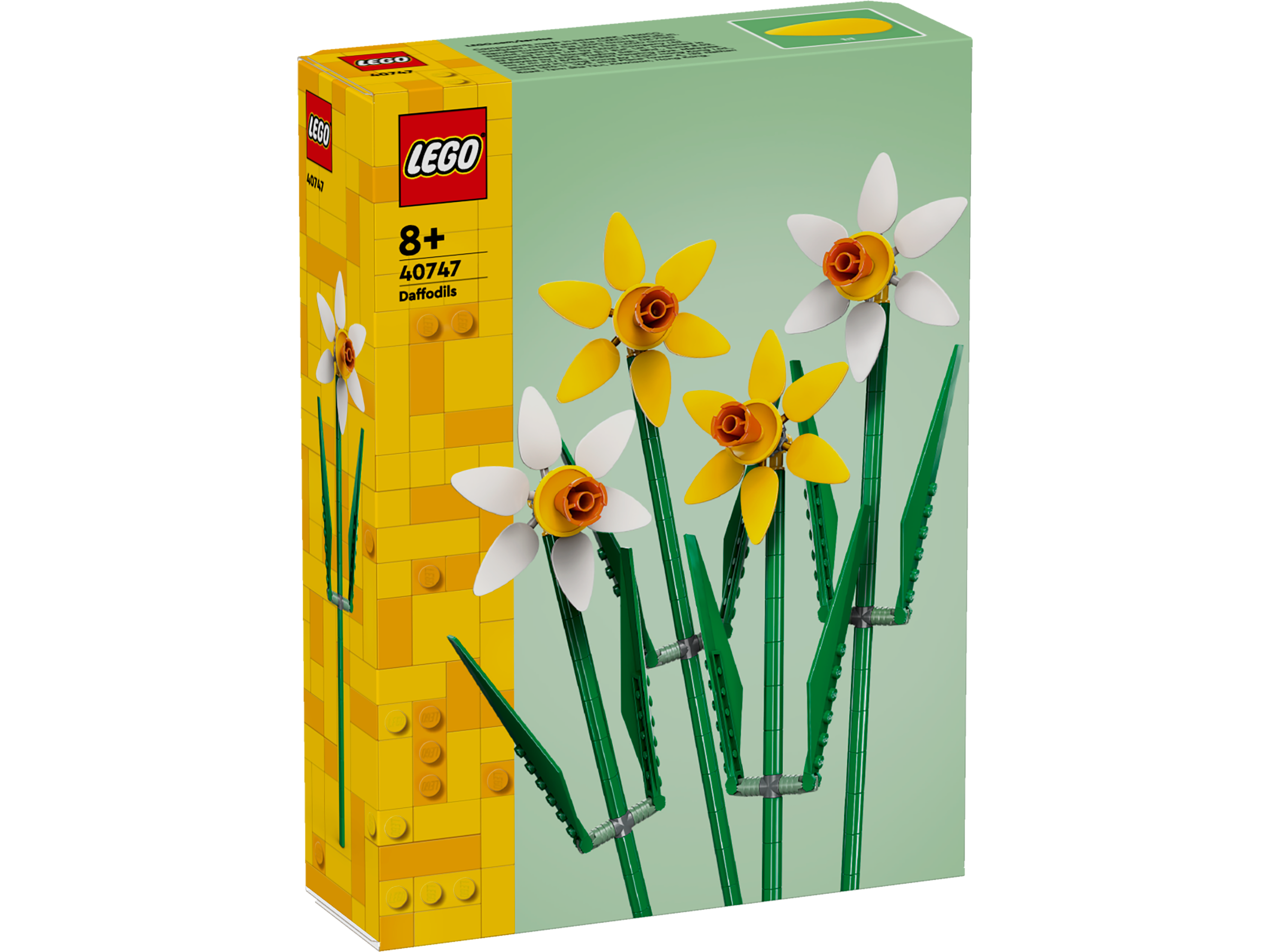 40747 Daffodils V29