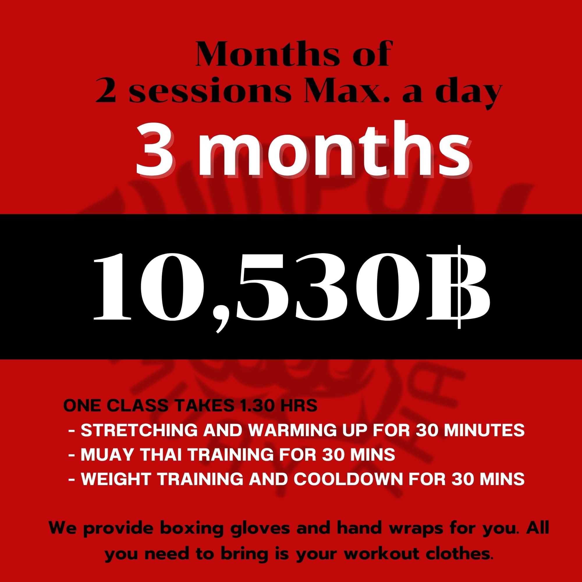 Months of  Unlimited Access 3 months muaythai package/แพคเกจมวยไทยแบบไม่จำกัด 3 เดือน