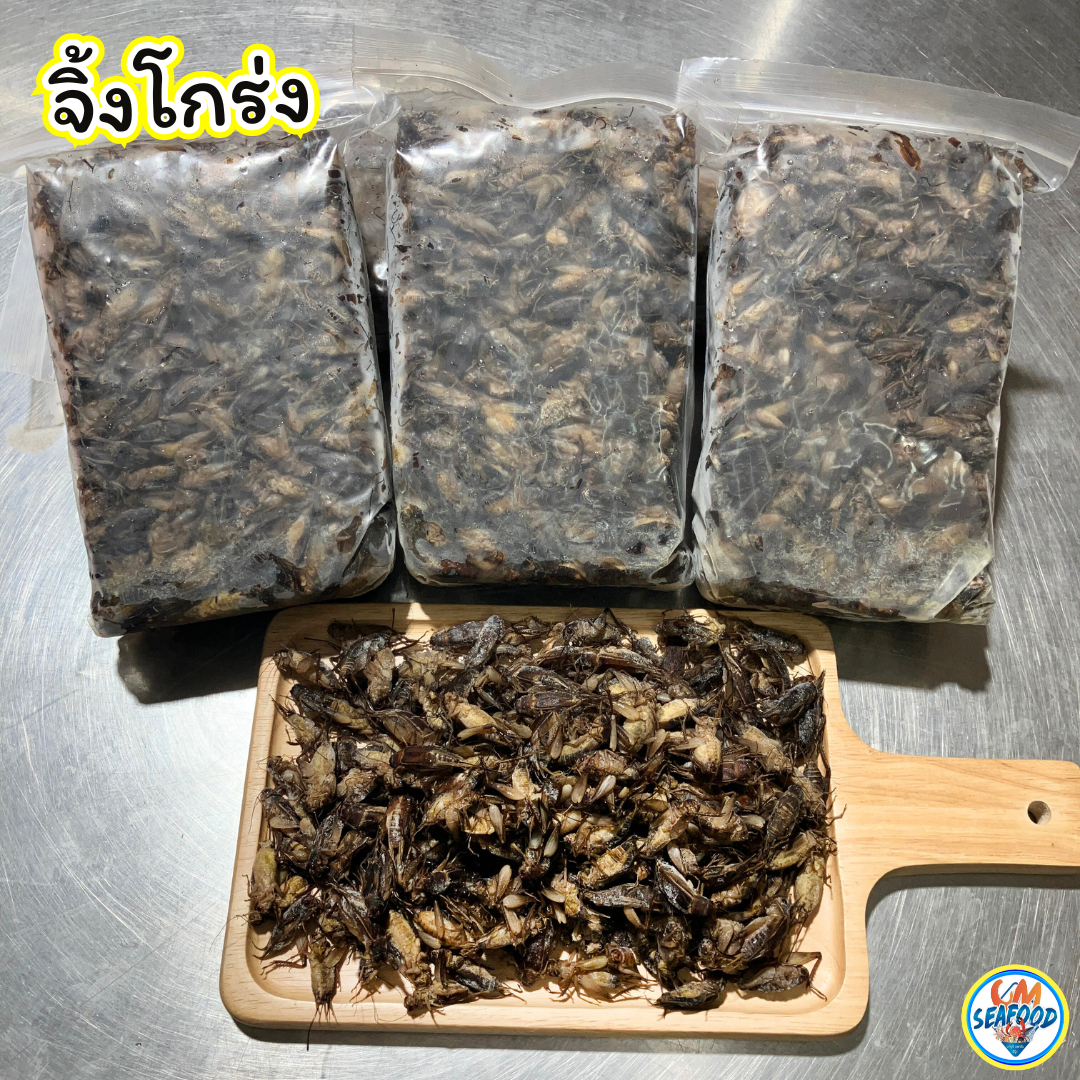 (พ่นเขียว) จิ้งโกร่ง 1kg/p x 5p/หิ้ว แมลง (ส่ง 10+ 260 บาท) (ส่ง 5+ 265 บาท)