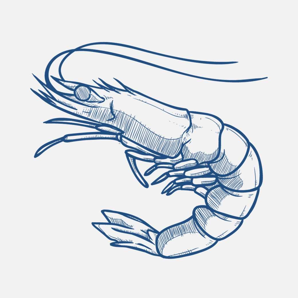 An Image