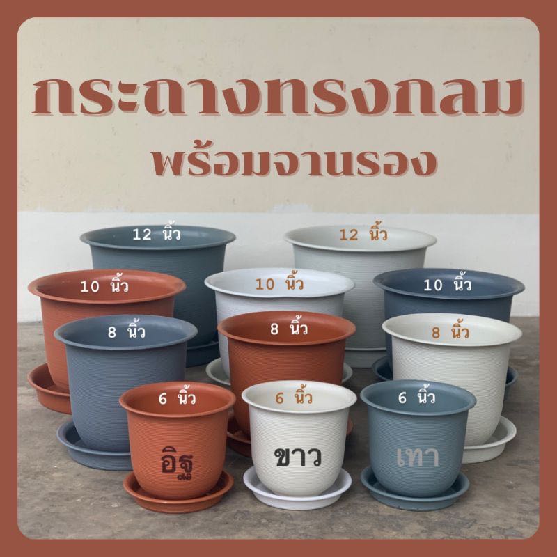 กระถางทรงกลม