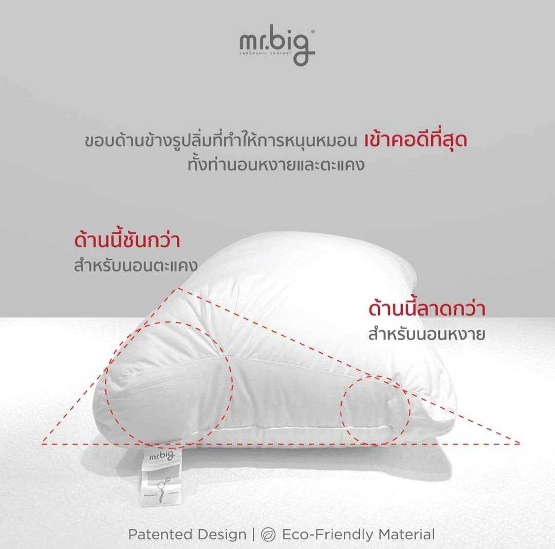 mr.big New BodyScale  Pillow No.5 : หมอนหนุนเลือกตามน้ำหนักส่วนสูงท่านอน