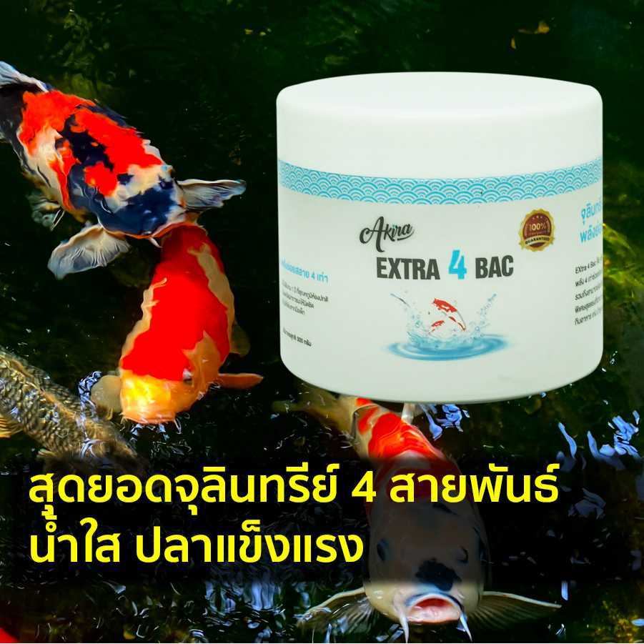 ราคาพิเศษ! Extra 4 bac จุลินทรีย์น้ำใส ย่อยตะกอนหายเกลี้ยง! ส่งฟรี