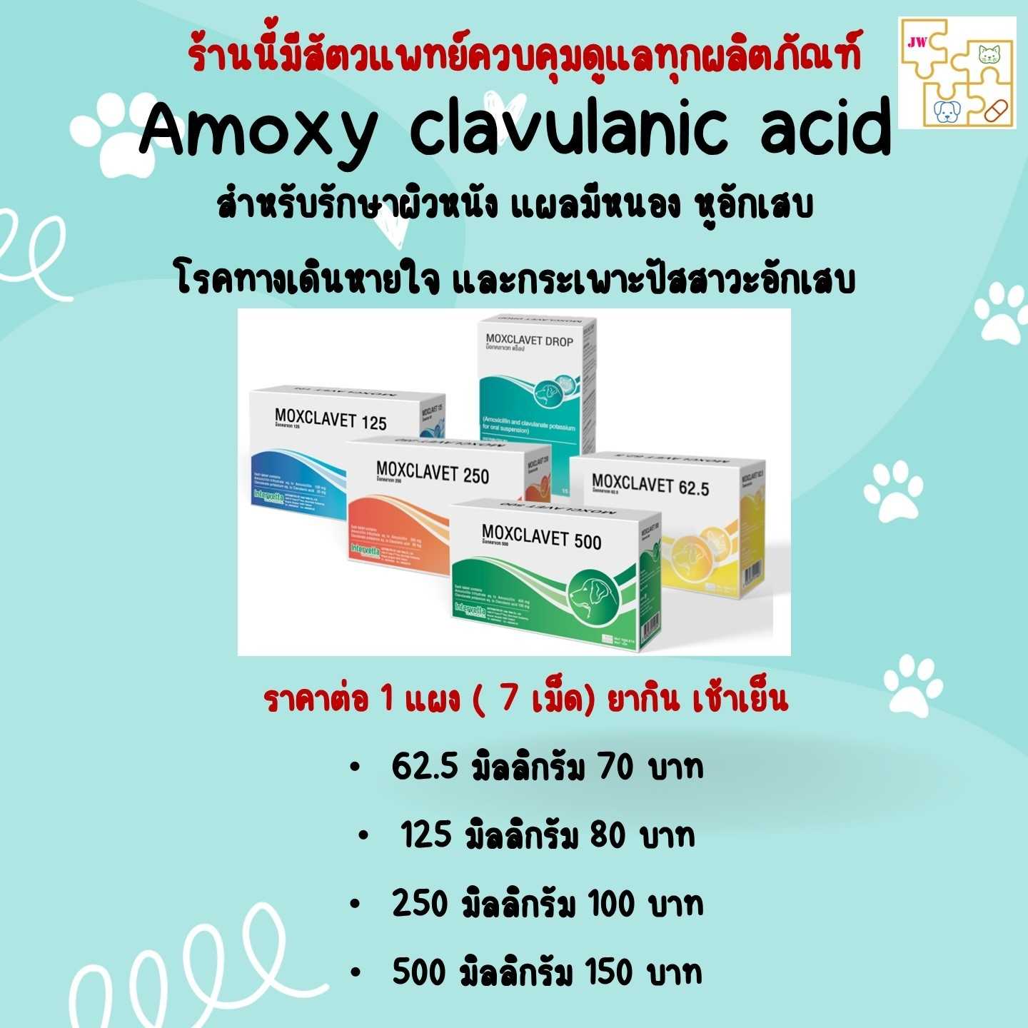 Amoxy clavulanic acid ยาปฏิชีวนะ