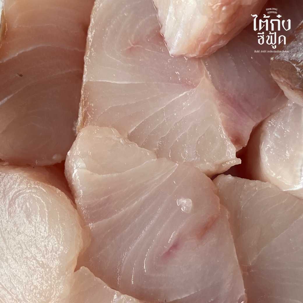 🐟 ปลาช่อนทะเล ปลาเนื้อแน่น หนึบ เด้งกรอบ สู้ฟัน ทานเป็นซาซิมิได้ - ไต้ก๋ง ซีฟู้ด