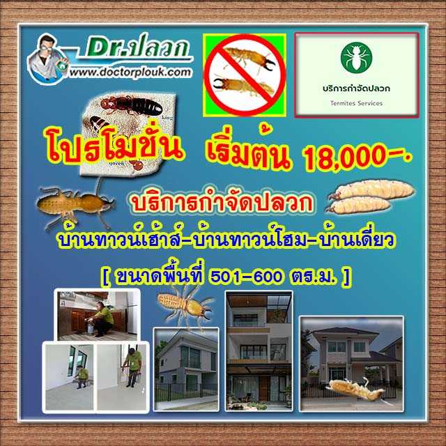 Dr.ปลวก บริการกำจัดปลวก บ้านทาวน์เฮ้าส์-บ้านทาวน์โฮม-บ้านเดี่ยว (พื้นที่ 501-600 ตร.ม.)