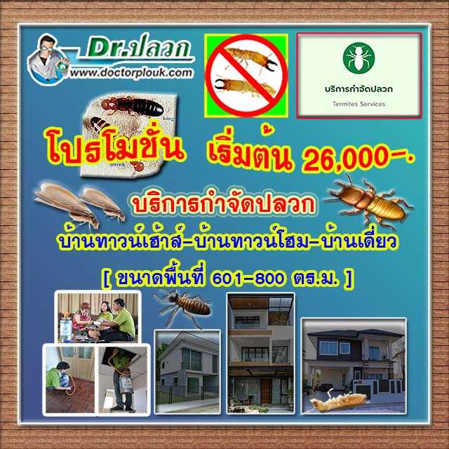 Dr.ปลวก บริการกำจัดปลวก บ้านทาวน์เฮ้าส์-บ้านทาวน์โฮม-บ้านเดี่ยว (พื้นที่ 601-800 ตร.ม.)