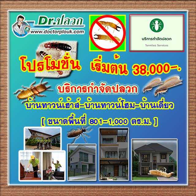 Dr.ปลวก บริการกำจัดปลวก บ้านทาวน์เฮ้าส์-บ้านทาวน์โฮม-บ้านเดี่ยว (พื้นที่ 801-1000 ตร.ม.)