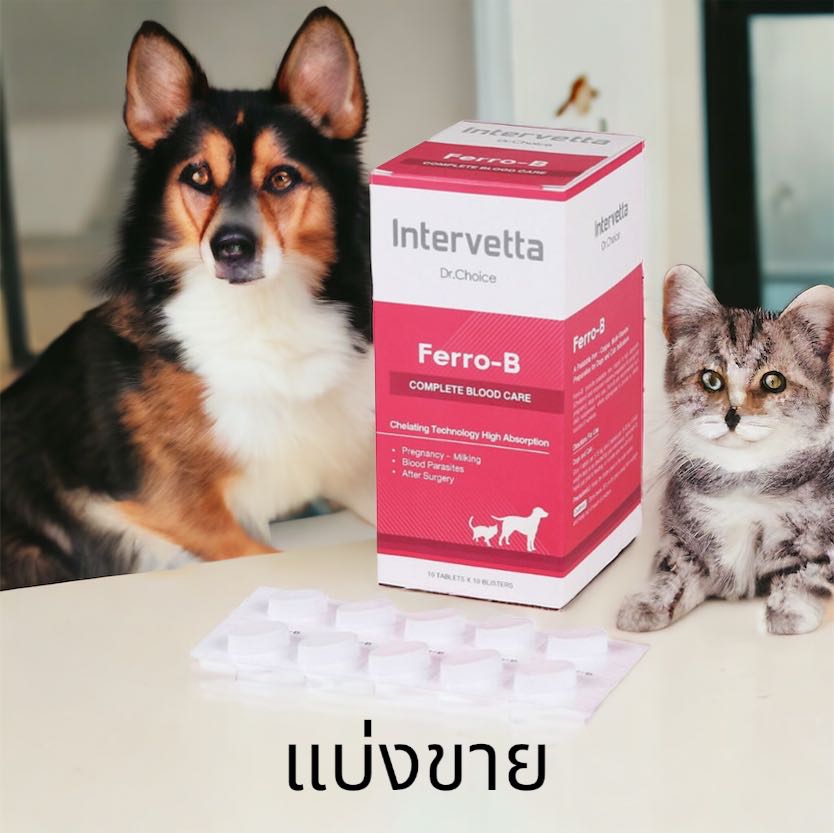 (1 แผง 10 เม็ด)Dr. Choice Ferro-B Intervetta(แบ่งขาย) Exp.27/10/2025 บำรุงเลือด