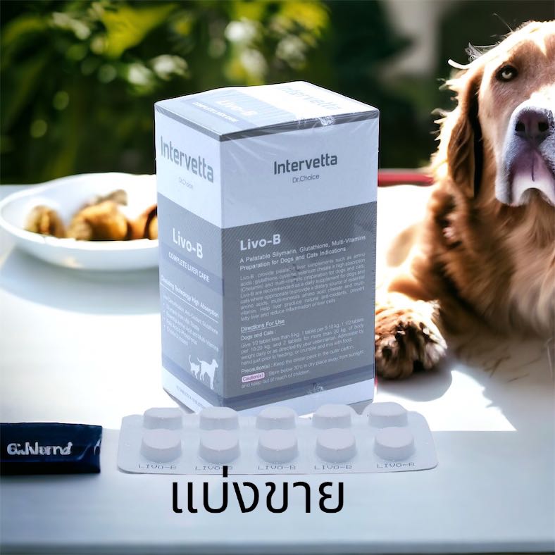 (1แผง 10 เม็ด)Livo-B Dr.Choice IntervettaExp.13/2/2026วิตามินบำรุงตับ วิตามิน อาหารเสริม สุนัข แมว