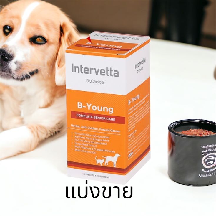 (1แผง 10 เม็ด) Dr.Choice B-Young Intervetta Exp.23/2/2025 อาหารเสริม บำรุง สุนัขสูงวัย แมวสูงวัย