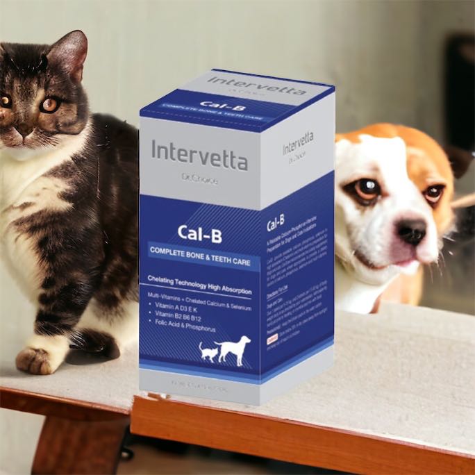 Dr. Choice Cal-B Exp.3/3/2026 Intervetta อาหารเสริม แคลเซียม บำรุงกระดูก แม่ให้นม สุนัข แมว